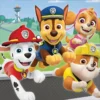 Paw Patrol Adventure Lunch Napkins - 16 Pack 2 Paw Patrol Adventure Lunch Napkins - 16 Pack -Soft Toys store BA 512441